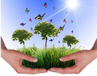 吳道洪 以節(jié)能減排技術創(chuàng)新與推廣服務，為中國實體經濟注入綠色新動力